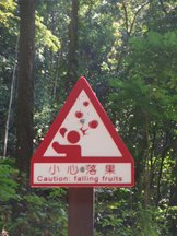 美濃16.jpg
