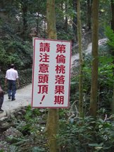 美濃17.jpg