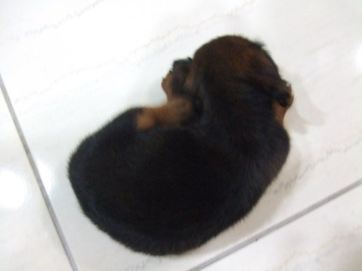 DSCF4600.JPG