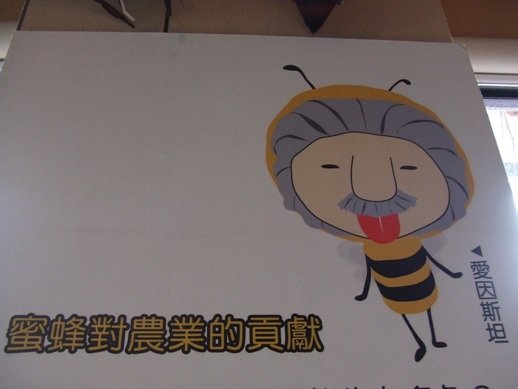 DSCF5296.JPG