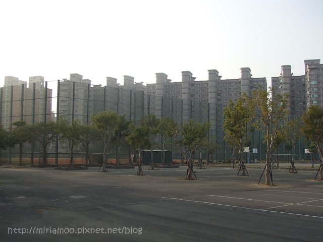 晨跑05.jpg