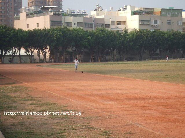 晨跑06.jpg
