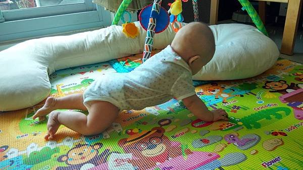IMG_20150610_113737_HDR