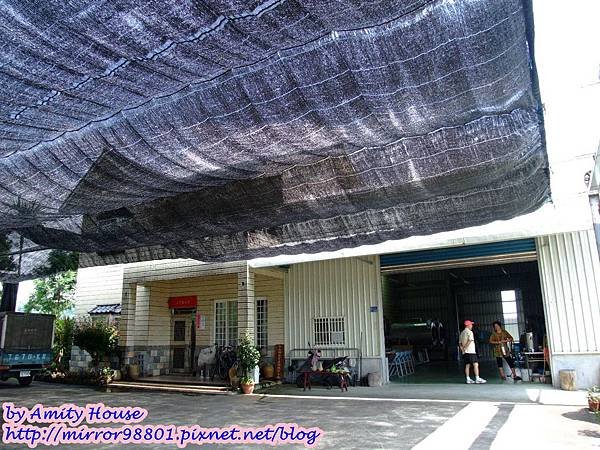 blog 1010627 三泰有機農場03