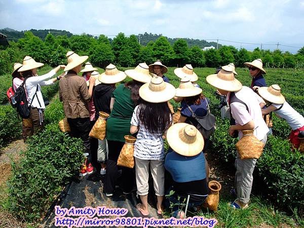 blog 1010627 三泰有機農場09