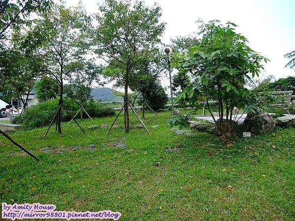 blog 1010627 田媽媽一佳村青草園31