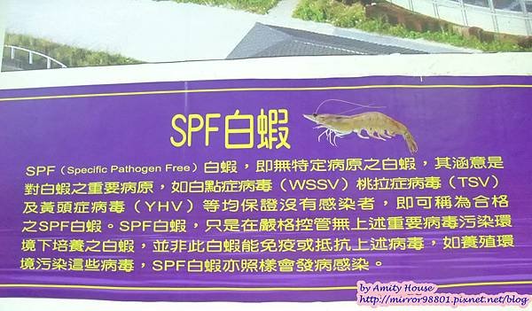 1010830 金車生技水產養殖研發中心　宜蘭礁溪金車履歷鮮蝦養殖場18