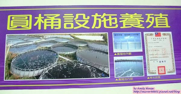 1010830 金車生技水產養殖研發中心　宜蘭礁溪金車履歷鮮蝦養殖場19