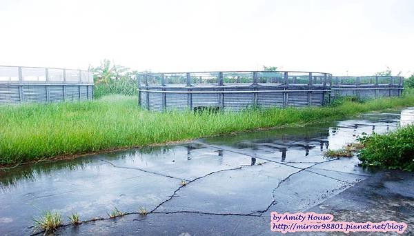 1010830 金車生技水產養殖研發中心　宜蘭礁溪金車履歷鮮蝦養殖場29
