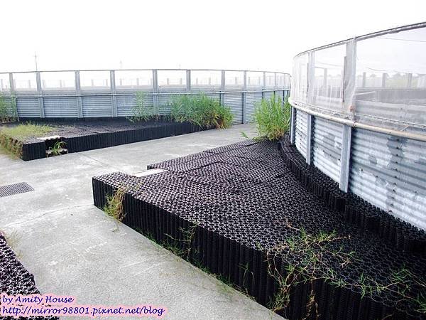 1010830 金車生技水產養殖研發中心　宜蘭礁溪金車履歷鮮蝦養殖場30