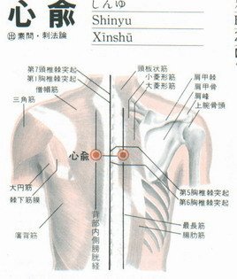 心俞穴是心臟出現異常主治穴2.jpg