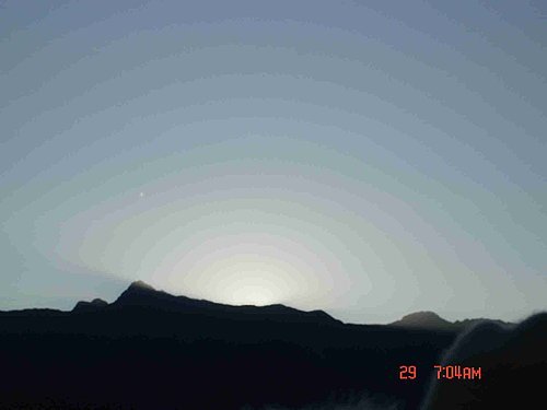 980128-29阿里山05.jpg