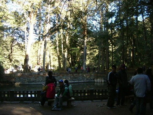 980128-29阿里山12.jpg