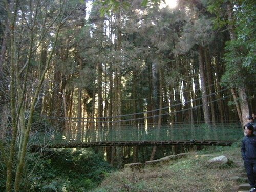 980128-29阿里山21.jpg