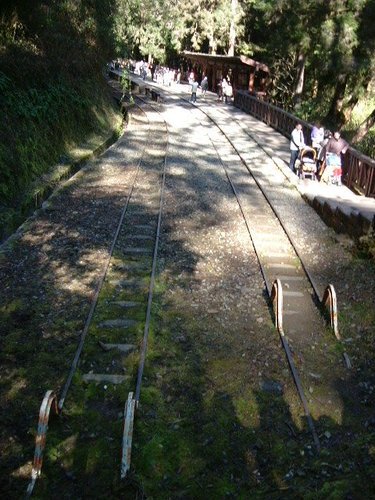 980128-29阿里山23.jpg