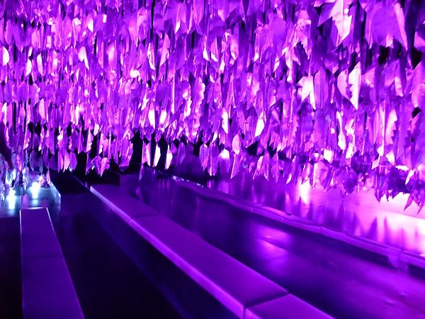 blog 991106花博　新生　夢想館09.JPG