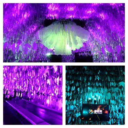 1000127花博　夢想館01.jpg