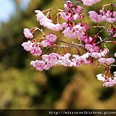 DSC06910.jpg