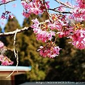 DSC07132.jpg