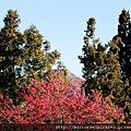 DSC07071.jpg