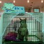 DSC01535.jpg
