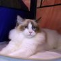 DSC01555.jpg