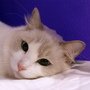 DSC01565.jpg