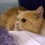 DSC01592.jpg