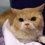 DSC01595.jpg