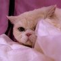 DSC01604.jpg