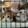 DSC01615.jpg