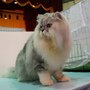 DSC01641.jpg