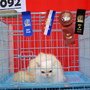 DSC01676.jpg