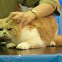 DSC01732.jpg