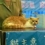 DSC01737.jpg