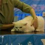 DSC01754.jpg