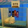 DSC01755.jpg