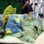 DSC01831.jpg