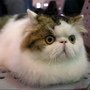 DSC01858.jpg