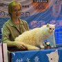 DSC01957.jpg