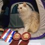 DSC01965.jpg