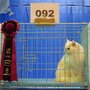 DSC01995.jpg