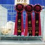 DSC02051.jpg
