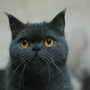 DSC05659.JPG