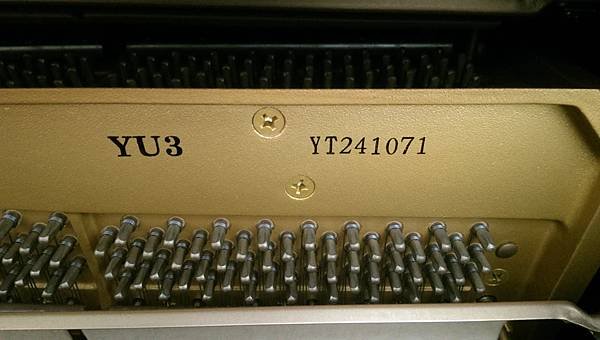IMAG0163