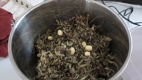 環保艾草蚊香DIY (1).jpg