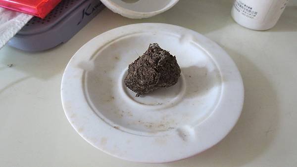 環保艾草蚊香DIY  (2).jpg