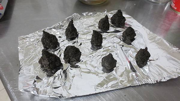 環保艾草蚊香DIY (5).jpg