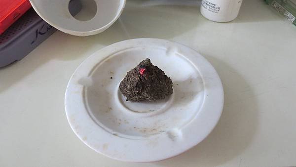 環保艾草蚊香DIY(2).jpg