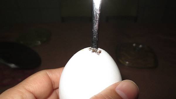 春分祈願蛋.jpg